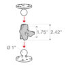 RAM® Double Socket Arm - B Size Short