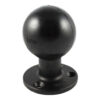 RAM® Large Round Plate with Ball - E Size